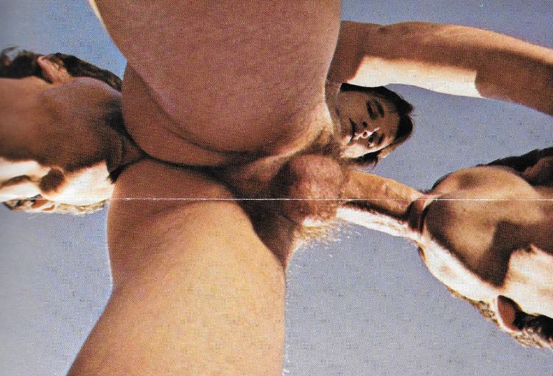 800px x 544px - Steve Boyd â€“ bj's gay porno-crazed ramblings